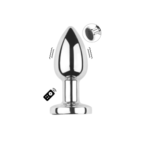 Plug vibrant acier inoxydable anal taille S avec télécommande, USB BOOTY